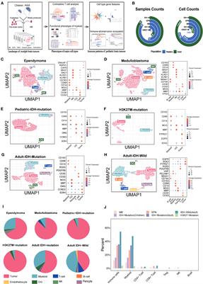 The unique immune ecosystems in pediatric brain tumors: integrating single-cell and bulk RNA-sequencing